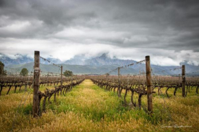 In De Vines - Chenin - Farmstay